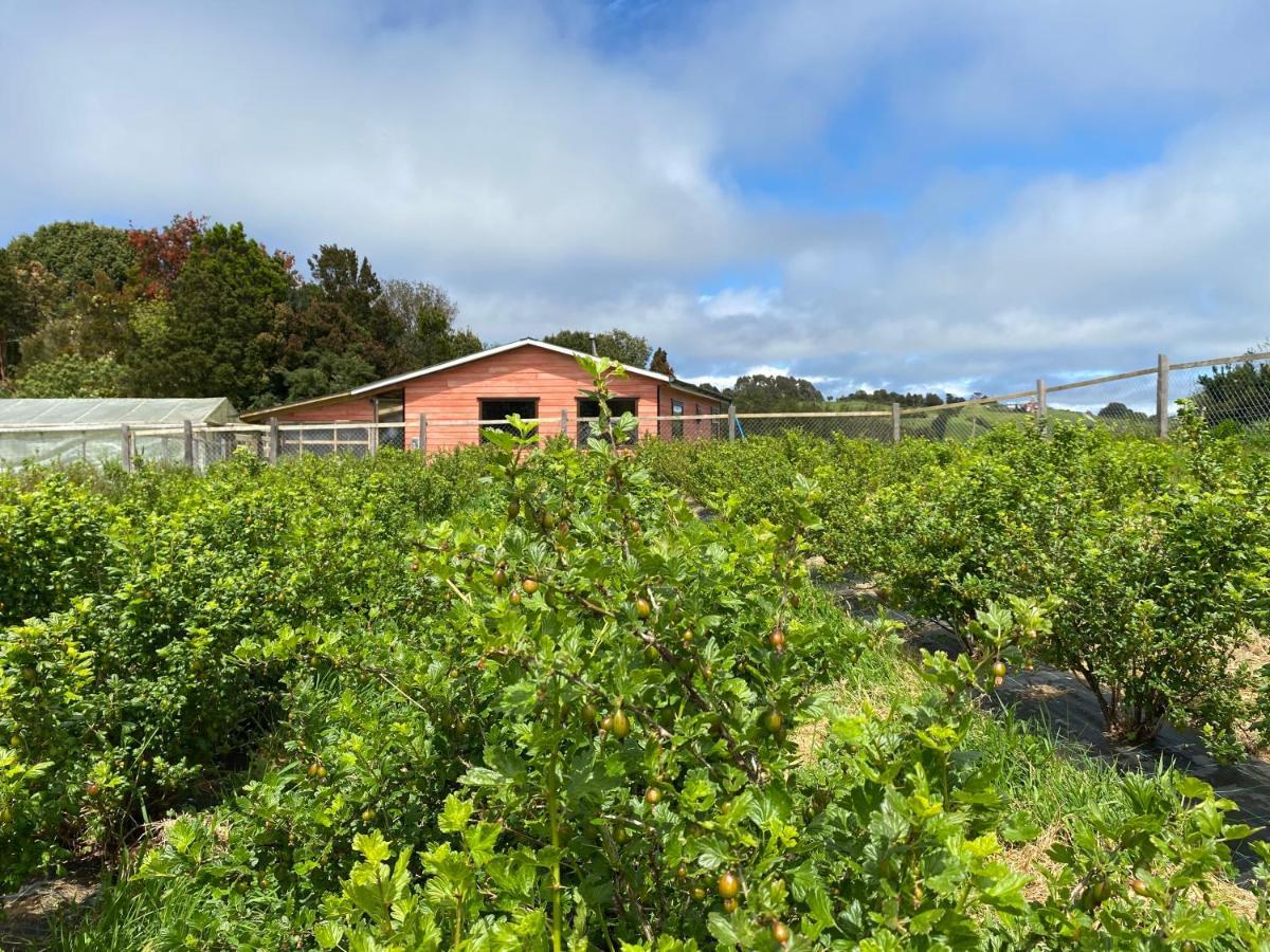 Cabana Nueva En Ancud Chiloe Exteriér fotografie