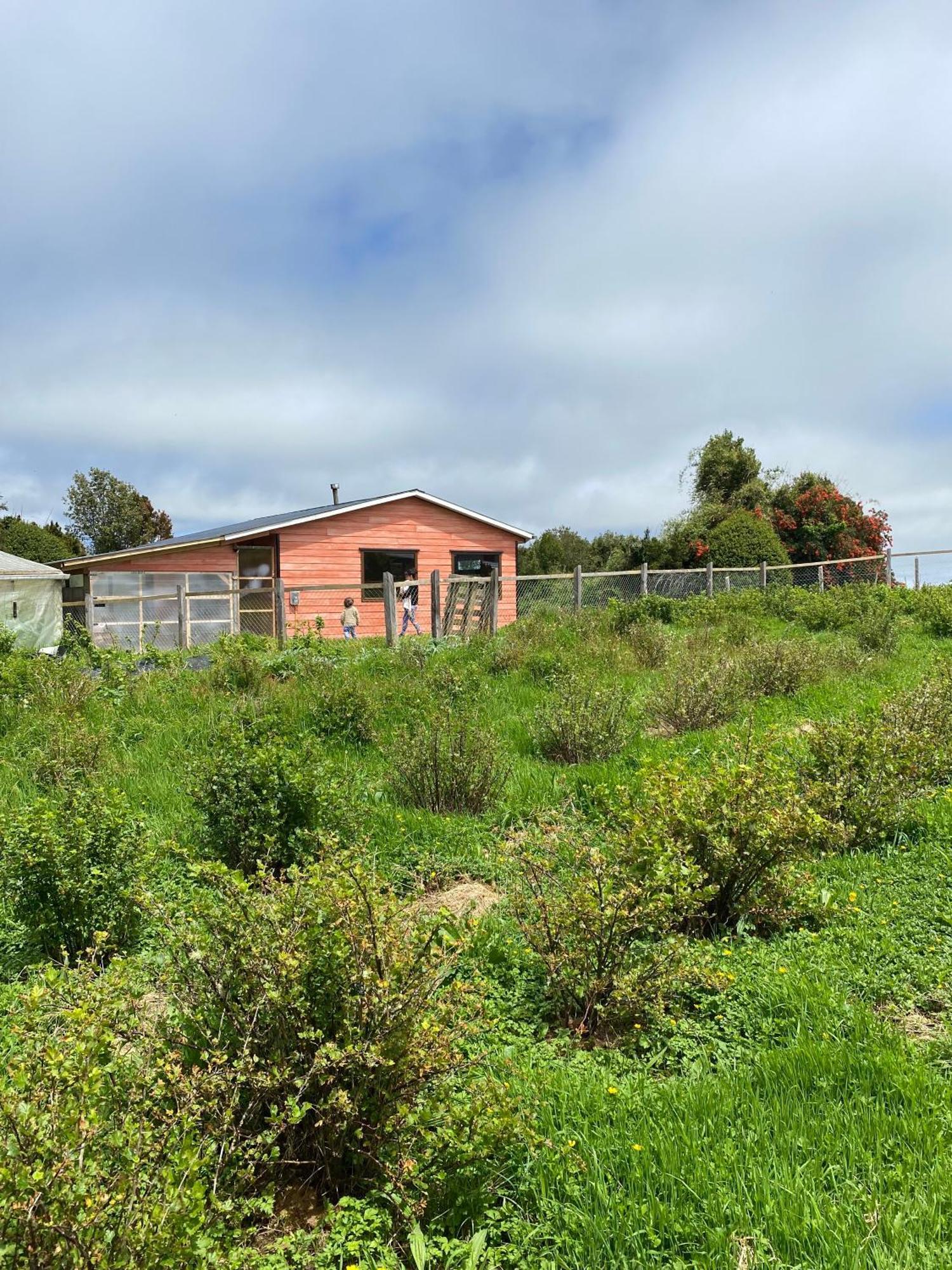 Cabana Nueva En Ancud Chiloe Pokoj fotografie