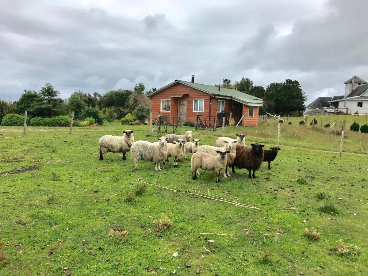 Cabana Nueva En Ancud Chiloe Exteriér fotografie